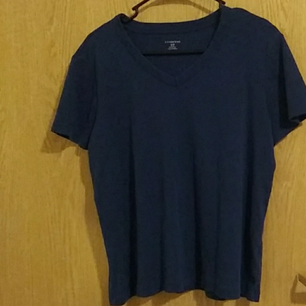 Lands' End v-neck Tee